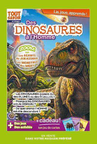 Gourmand 535 
