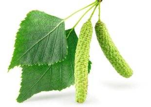 Hors Série 27 Opération détox avec les plantes