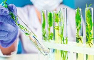 Hors Série 27 Dela plante aux médicaments