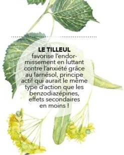 Hors Série 28 10 bonnes plantes POUR 1 BONNE NUIT