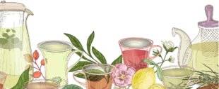 Hors Série 28 Belles plantes LA PHYTO-COSMÉTO