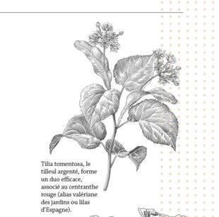 Hors Série 55 Le coup de pouce des PLANTES