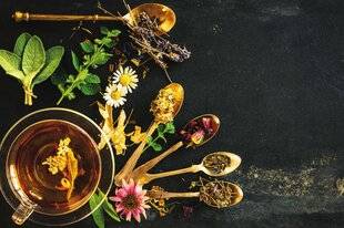 Hors Série 55 PLÉBISCITÉS PAR NOS GRANDS-MÈRES