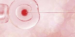 Hors Série 64 L'AUTOCONSERVATION DES OVOCYTES