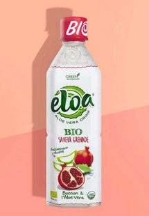 Vital Food 20 ON AIME DE L'ALOE À SIROTER