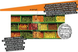 Vital Food 20 Notre alimentation en expo