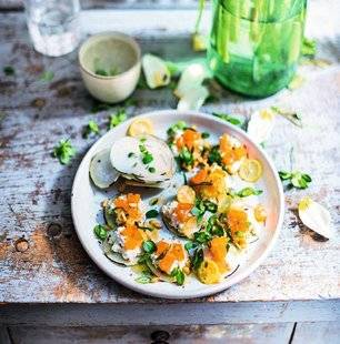 Vital Food 20 CROQ'RADIS AU SAUMON