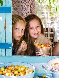Vital Food 20 La mirabelle en Ribambelle