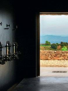 Vital Food 20 Les vins du Languedoc : ils ont tout des grands !