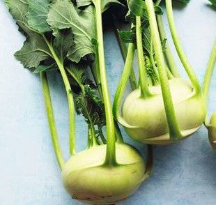 Vital Food 21 Je planque le chou-rave