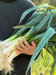 Vital Food 21 PAR ICI LES BONNES SOUPES !