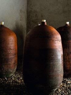 Vital Food 21 Le Roussillon le plaisir de vins singuliers
