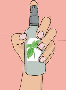 Vital Food 44 LES SPRAYS AROMATIQUES