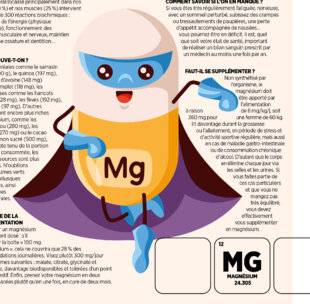 Vital Food 44 Le magnésium UN ALLIÉ PHYSIQUE ET MENTAL