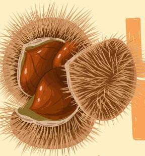 Vital Food 45 LES CRÈMES DE MARRON