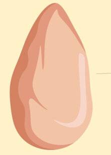 Vital Food 45 Filet ou blanc de poulet, lequel glisser dans mon caddie ?