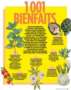 Vital Food 46 1 001 BIENFAITS