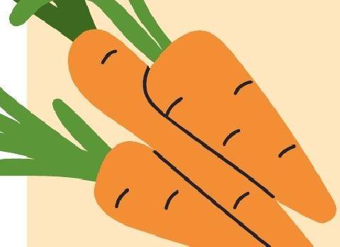 Vital Food 48 Vitamine D, magnésium, zinc… c’est meilleur quand c’est sain