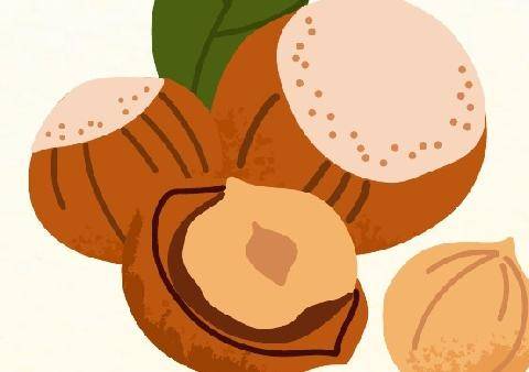 Vital Food 48 LA NOISETTE, ELLE N’EST PAS RÉSERVÉE QU’AUX ÉCUREUILS