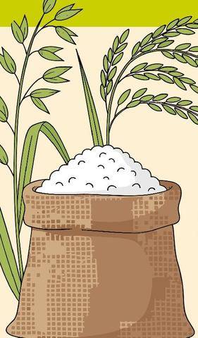 Vital Food 48 SANS GLUTEN, ET RASSASIANT, LA RIZ-VOLUTION