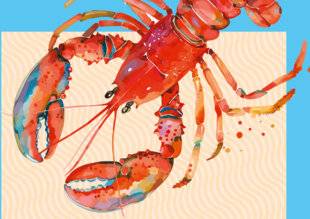 Hors-Séries 16 Côté mer