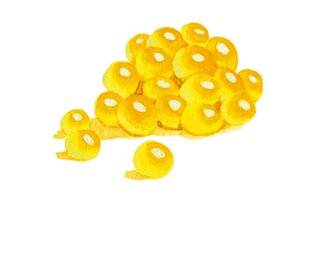 Hors-Séries 16 Les perles de saveurs