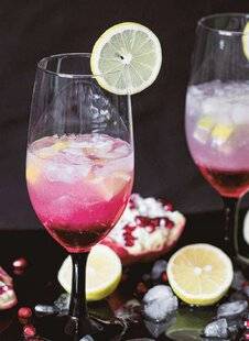 Hors-Séries 16 Gin daisy