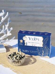 Hors-Séries 20 Yodèn, l'autre chips bretonne