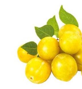 Hors-Série Jeux 50 AVEC DES MIRABELLES, JE CUISINE…