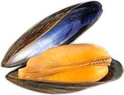 Hors-Série Jeux 50 AVEC DES MOULES DE BOUCHOT, JE CUISINE…