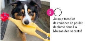 Hors-Série Jeux 82 Accros à leurs ANIMAUX !