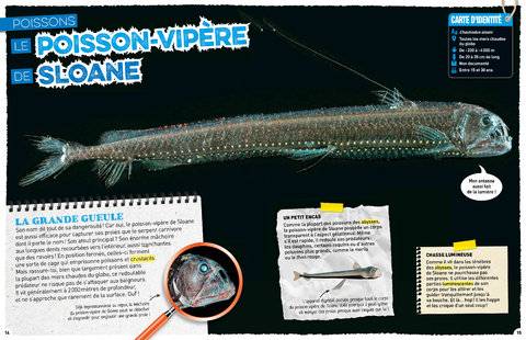 Hors-Séries 24 POISSON-VIPÈRE DE SLOANE