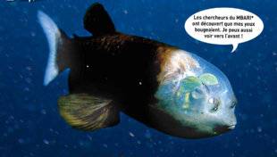 Hors-Séries 24 LE POISSON REVENANT