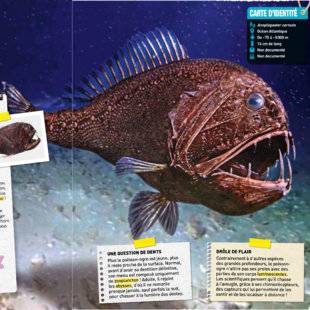 Hors-Séries 24 LE POISSON-OGRE