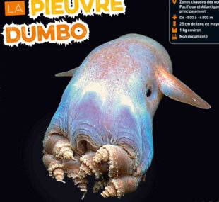 Hors-Séries 24 LA PIEUVRE DUMBO