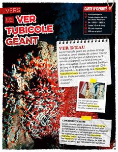 Hors-Séries 24 LE VER TUBICOLE GÉANT