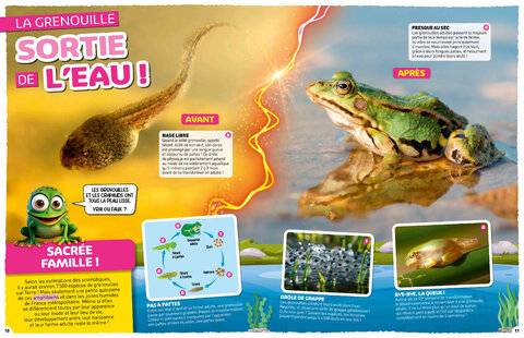 Hors-Séries 40 SORTIE DE L'EAU !