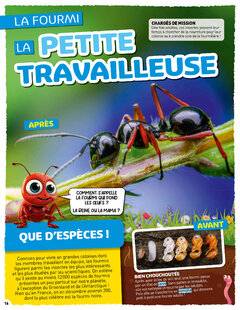 Hors-Séries 40 LA PETITE TRAVAILLEUSE