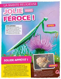 Hors-Séries 40 JOLIE MAIS FÉROCE !
