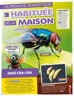 Hors-Séries 40 L' HABITUÉE DE LA MAISON
