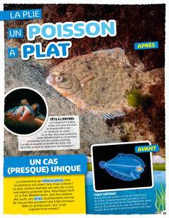 Hors-Séries 40 UN POISSON À PLAT