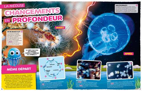 Hors-Séries 40 CHANGEMENTS EN PROFONDEUR