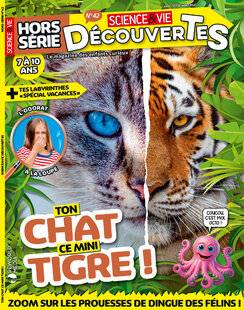 Hors-Séries 42 N° 42