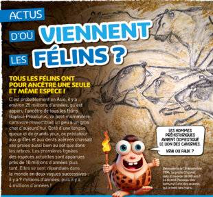 Hors-Séries 42 TOUS LES FÉLINS ONT POUR ANCÊTRE UNE SEULE ET MÊME ESPÈCE !