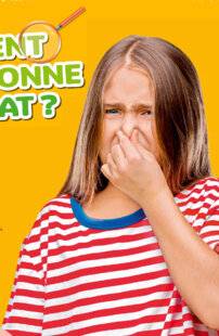 Hors-Séries 42 COMMENT FONCTIONNE L’ODORAT ?