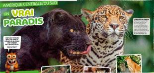 Hors-Séries 42 LE ROI DE LA JUNGLE