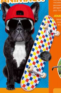 Hors-Séries 43 EST-CE QUE LES ANIMAUX JOUENT ?