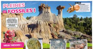 Hors-Séries 44 PLEINES DE FOSSILES !
