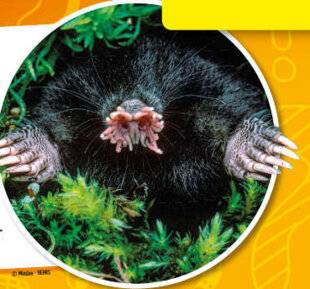 Hors-Séries 45 QUESTIONS-RÉPONSES ?