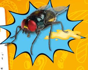 Hors-Séries 45 QUESTIONS RÉPONSES